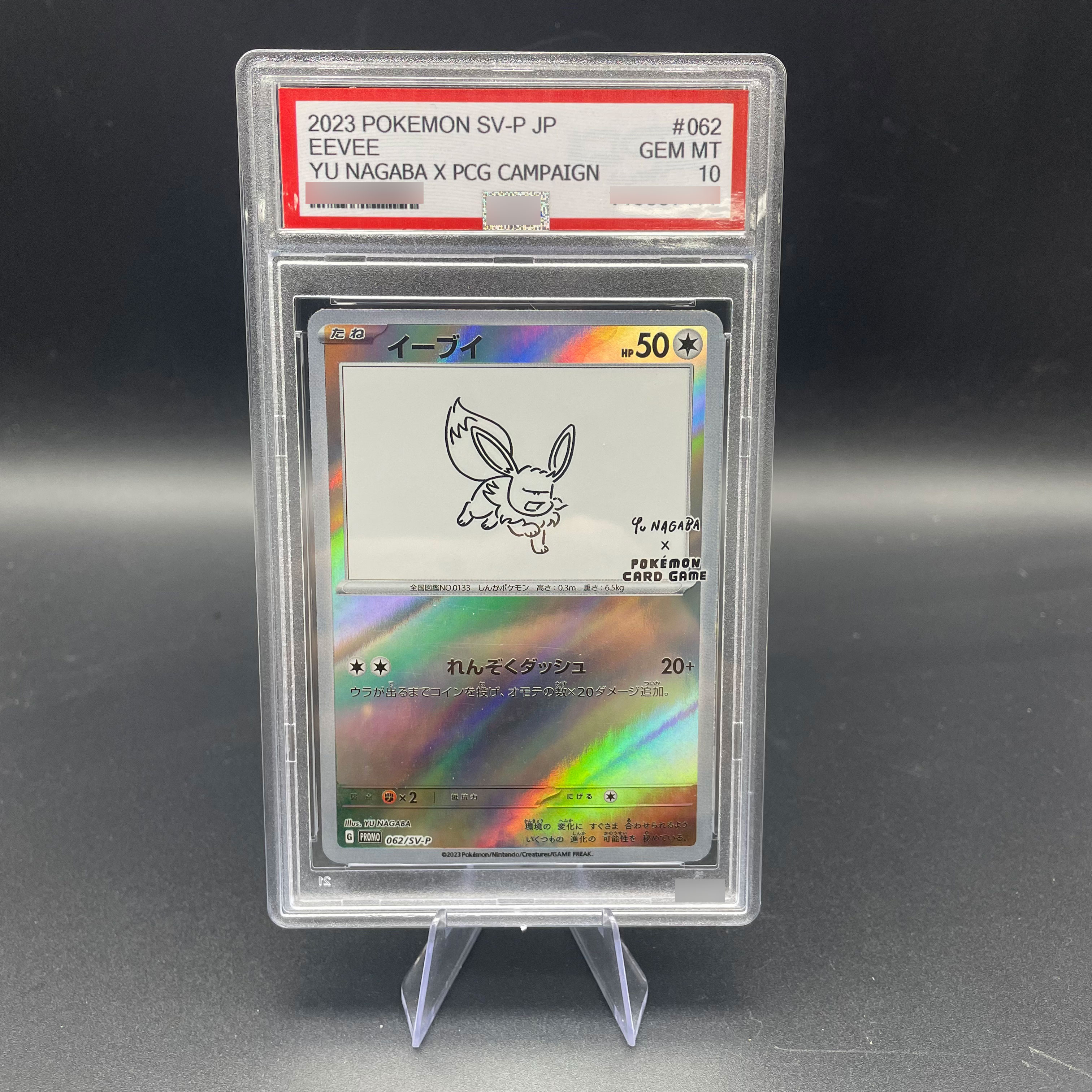 DIY Anime 2023 PTCG SV-P Japan - Model Kit Japanese incelemesi ve fiyatı